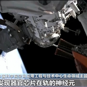 中国空间站完成空间生命科学在轨实验任务 还刷新一项新纪录 ...