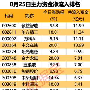 主力资金丨尾盘主力资金大幅抢筹7股