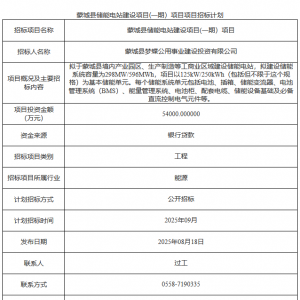 约0.906元/Wh！安徽298MW/596MWh用户侧储能电站招标