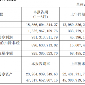 北方稀土：上半年净利同比增1951.52% 稀土镧铈、镨钕产品销量分别创历史新高 ...