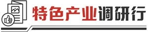 小泳装撬动大市场 东北海滨小城的全球生意经