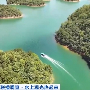 今年暑期“游船经济”热力全开！观光船全球订单涌来🚤