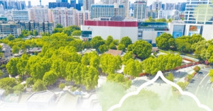 白兰香飘岭之南（一朵花读懂一座城）