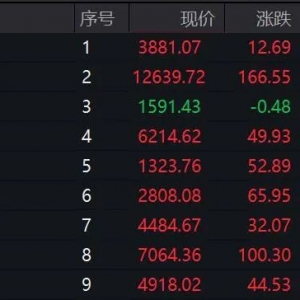 芯片股集体拉升，科创50上涨超4%