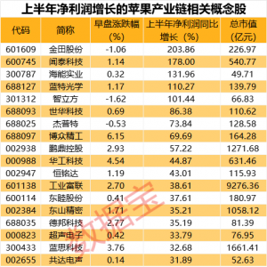 重磅发布会定档！龙头“20cm”涨停，这些概念股业绩暴涨