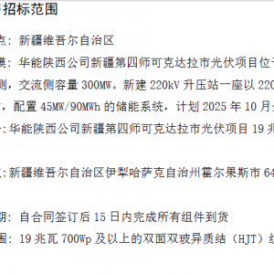 0.7X元/W！太瓦新能源、国晟新能源入围新疆19MW异质结组件采购 ...