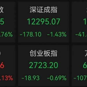 午后突发，605303跌停！融资余额逼近历史峰值，低市盈率+绩优+杠杆资金加仓股揭晓 ...