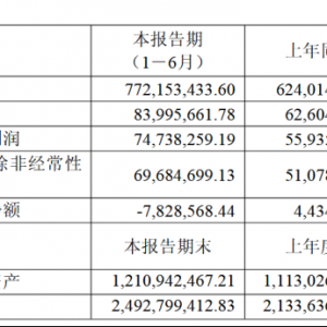 斯瑞新材2025上半年营收净利双增 经营性现金流净额下滑276.53% ...