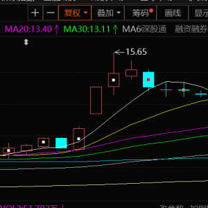 宝武镁业：上半年净利润同比减少46.47% 镁价下行 镁合金毛利率下降 ...