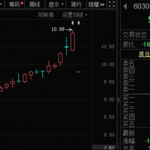 603058，“一字”跌停，跨界芯片失败！QFII最新持股出炉，新进重仓33股 ...