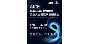 【立享66折】AICE超级早鸟票火热开售！仅限前100位，布局未来从这场盛会开始 ...