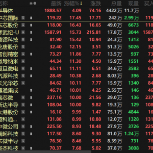 半导体板块再度大涨！寒武纪超越茅台坐稳A股“一哥” 中芯国际股价再创新高【热股】 ...