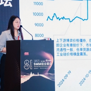 SMM：2025年工业硅供需概况及展望 这几点对价格影响明显！【SMM硅业峰会】 ...