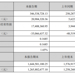 中科磁业：上半年净利同比增271.78% 部分募投项目达产导致收入增加 ...