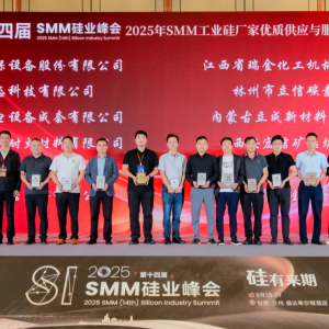 2025 SMM工业硅厂家优质供应与服务商颁奖仪式隆重举行！【SMM硅业峰会】 ...