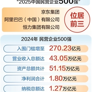 时报数说 “2025中国民营企业500强”发布