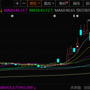 星源卓镁：上半年净利同比减15.2% 未来继续聚焦镁铝合金在汽车轻量化等应用拓展 ...