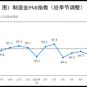 国家统计局：8月PMI为49.4% 比上月上升0.1个百分点