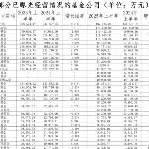 大曝光！易方达近19亿，工银瑞信超17亿，南方、广发、华夏超11亿！永赢火了，飙升80% ...