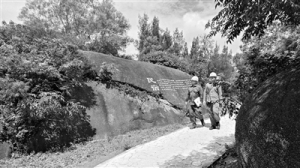 7月广东第三产业用电量同比增长4.95%活力广东聚势而兴 夏日经济热潮涌动 ...