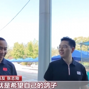 抗战胜利80周年纪念活动将放飞的和平鸽与气球基本就绪