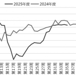 烧碱大概率延续高位整理
