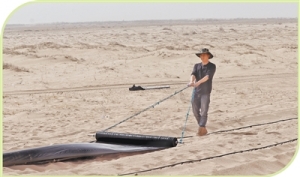 在沙海扎根  为家乡添绿（我的家乡我建设）