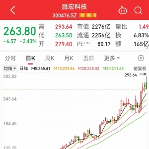300476，暴涨6倍以上！滞涨+绩优+低PE行业龙头股揭晓，13股上榜 ...
