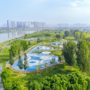 咸阳为什么那么美——古都焕新颜，高质量发展步履疾