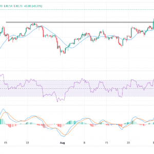 白银价格预测：白银突破14年高点后，在逾40.50美元水平盘整