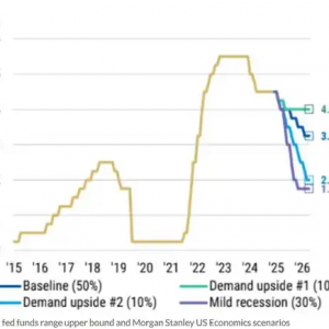 “鸽派”美联储即将来袭？大摩大胆预测：降息幅度或超市场预期！ ...