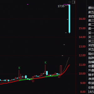 603119，1分钟直线封板！A股这一赛道，突现涨停潮！