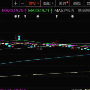 西部黄金上半年净利同比增131.94% 生产黄金5.9吨、电解金属锰4.04万吨 ...