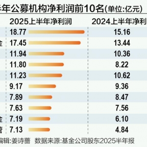 上半年公募“赚钱榜”