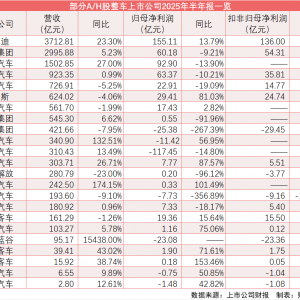 车企半年报：七成车企盈利 比亚迪营收破3000亿元、江淮扣非净利降超1000% ...