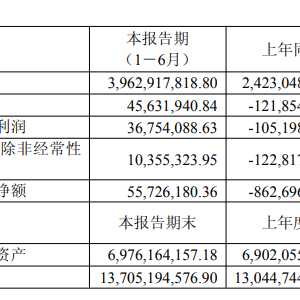 嘉元科技：目前公司产能利用率超90% 努力完成铜箔产销量均突破10万吨年度目标 ...