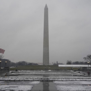 赴美旅游凉了？这些原因劝退外国游客