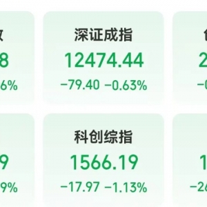 宇树科技IPO定档，概念龙头股创新高！杠杆资金加仓这些潜力股 ...