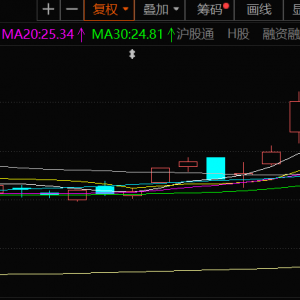赤峰黄金：上半年净利同比增长55.79% 更新2025年黄金产销量目标为16吨 ...