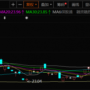 四川黄金：上半年净利同比增48.41% 预计下半年生产成本将呈现上升趋势 ...