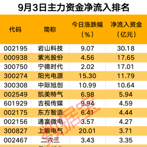 主力资金丨2股尾盘主力资金净流入均超1亿元