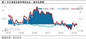 预计9月鸡蛋均价或有小幅反弹 但仍将低于去年同期水平