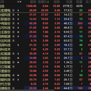 拉涨逾5%！储能海外需求爆发&amp;固态电池订单激增  电池板块大幅上扬【SMM热点】 ...