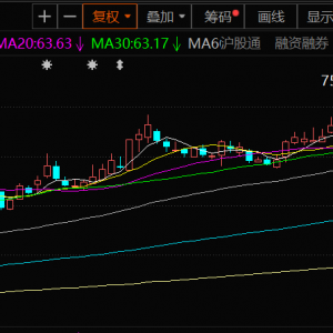 广晟有色：稀土市场行情整体上涨 提升稀土冶炼产品产销量 上半年净利扭亏为盈 ...