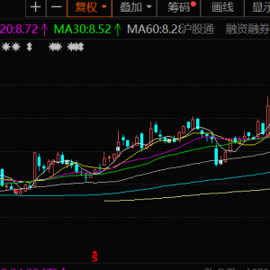中信金属：上半年净利同比增30.9% 铜、铌产品销量同比增长均超10% ...