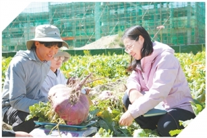 雪域高原  创新热土（科技视点）