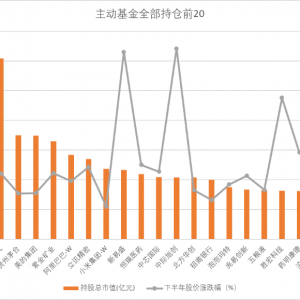 抱团AI，超400只基金下半年大涨超30%！需警惕共识背后的风险