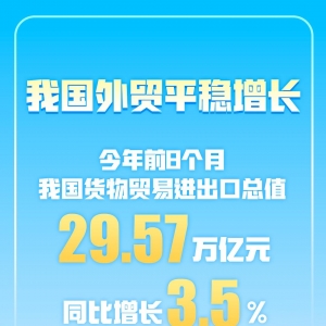 进出口总值超29万亿元 今年前8个月我国货物贸易实现平稳增长 ...