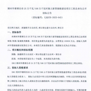 1.0304元/Wh！新疆博州250MW/1GWh独立储能项目EPC招标