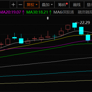 中钨高新：钨价保持高位运行 整体有利于公司业绩 上半年净利同比增8.7% ...